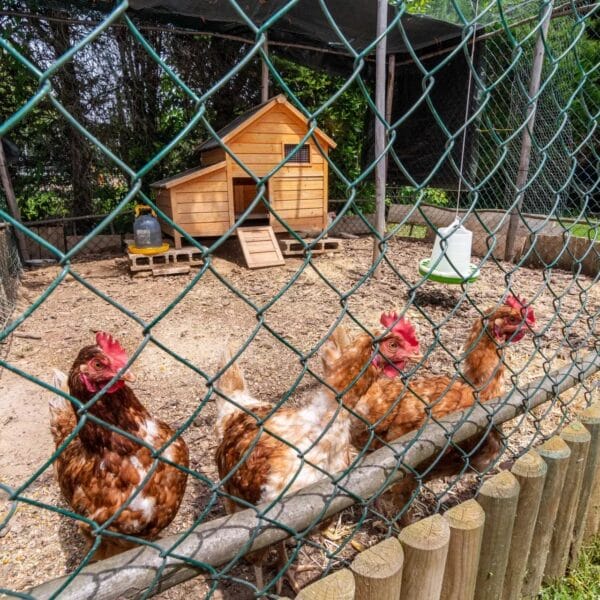 Villa La Roquette-sur-Siagne : 150 m2, jardin arboré, calme absolu