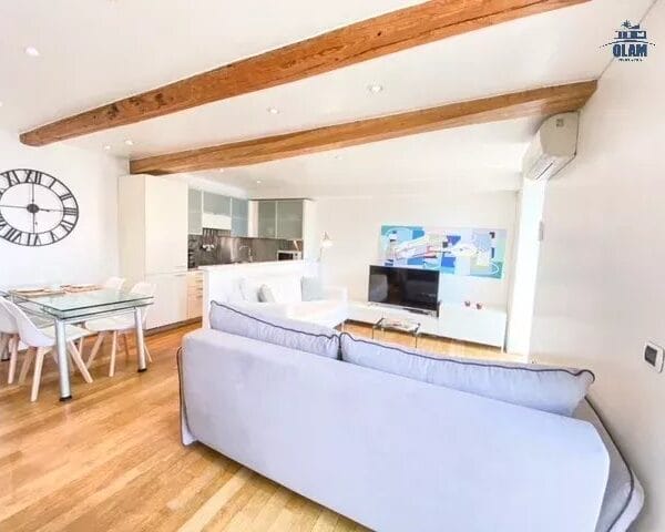 Cannes: beautiful apartment with terrace and view of the Vieuxport