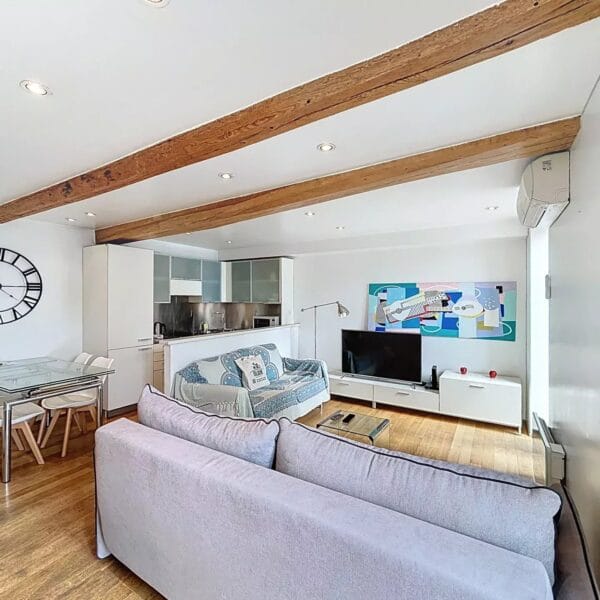 Cannes: beautiful apartment with terrace and view of the Vieuxport