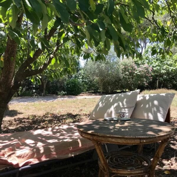 Mougins: Charming villa with swimming pool in the pine forest