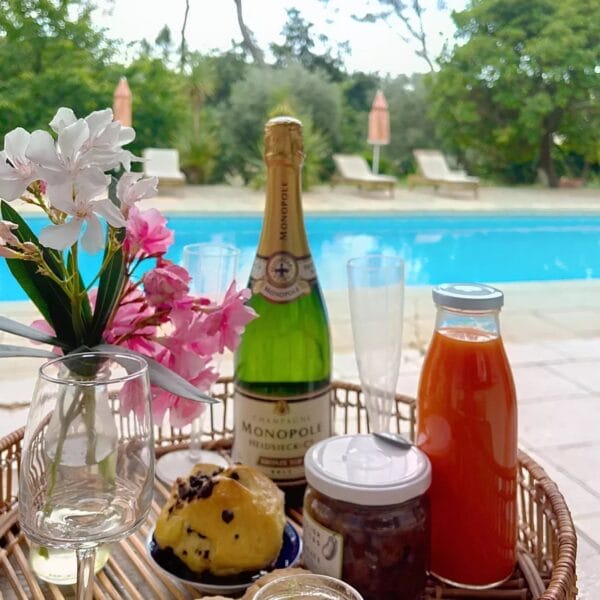 Mougins: Charming villa with swimming pool in the pine forest