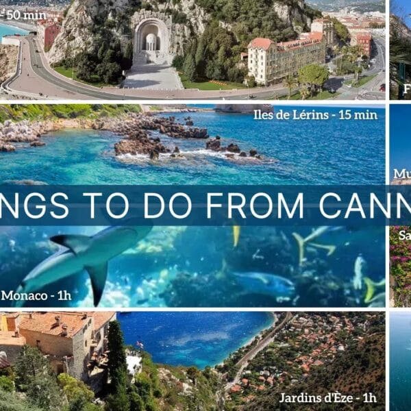 Studio Cannes: greenery, absolute calm