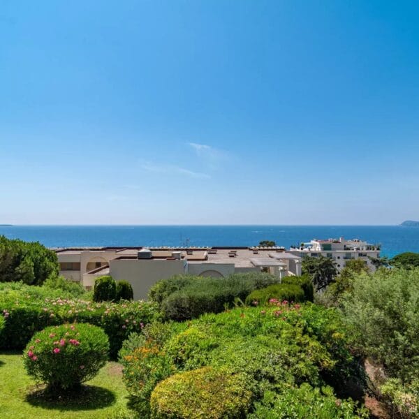 Apartment Cannes Croix des Gardes : cozy 1-bedroom apartment, panoramic sea view terrace