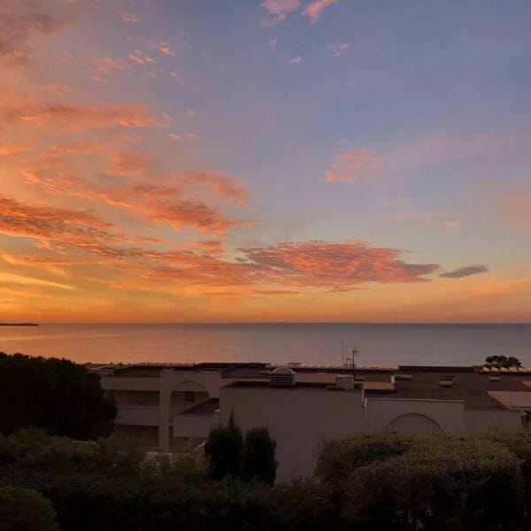 Appartement Cannes Croix des Gardes : cozy 2 pièces, terrasse vue mer panoramique