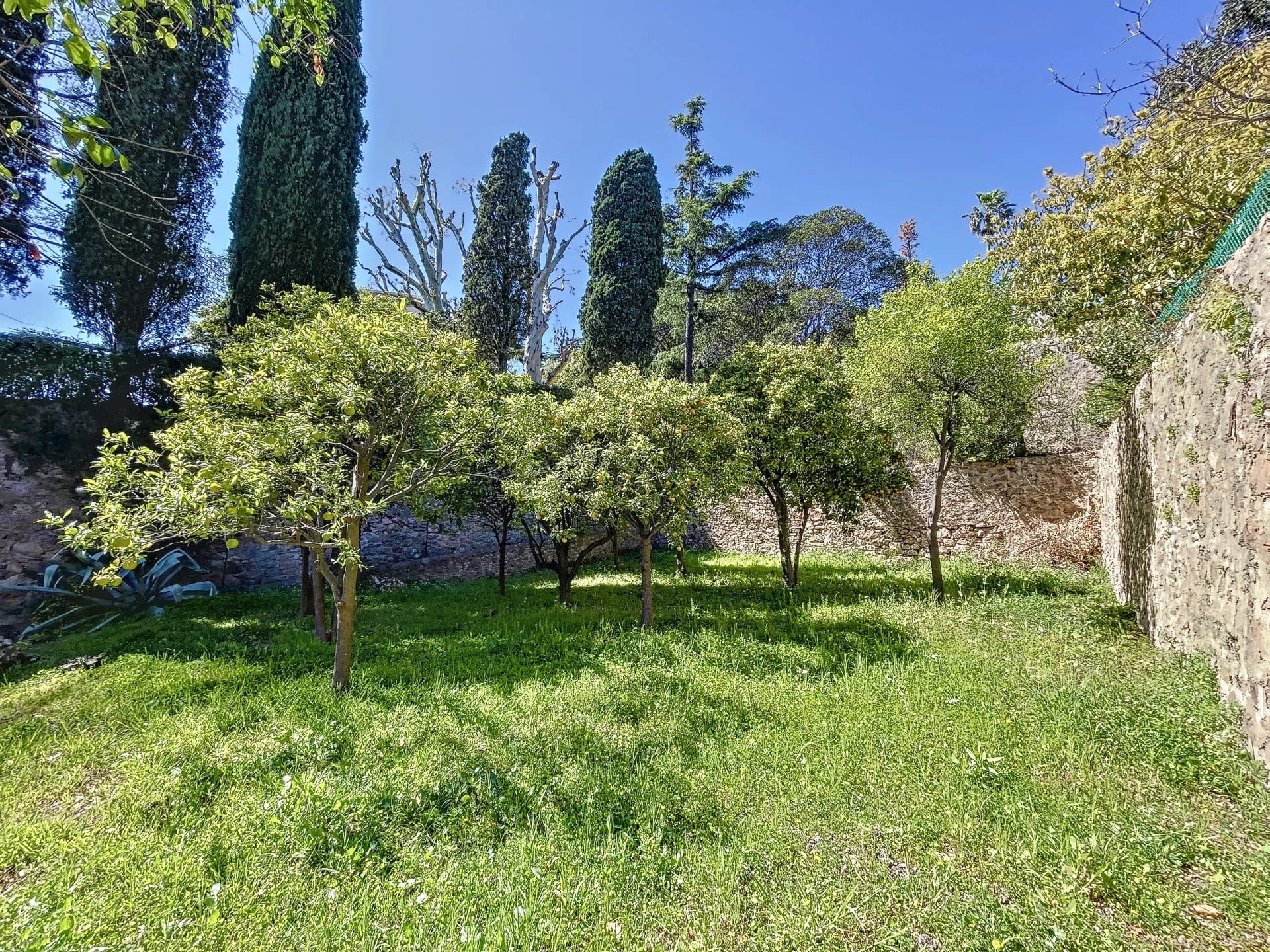 Studio Cannes Croix des Gardes : rénové avec jardin