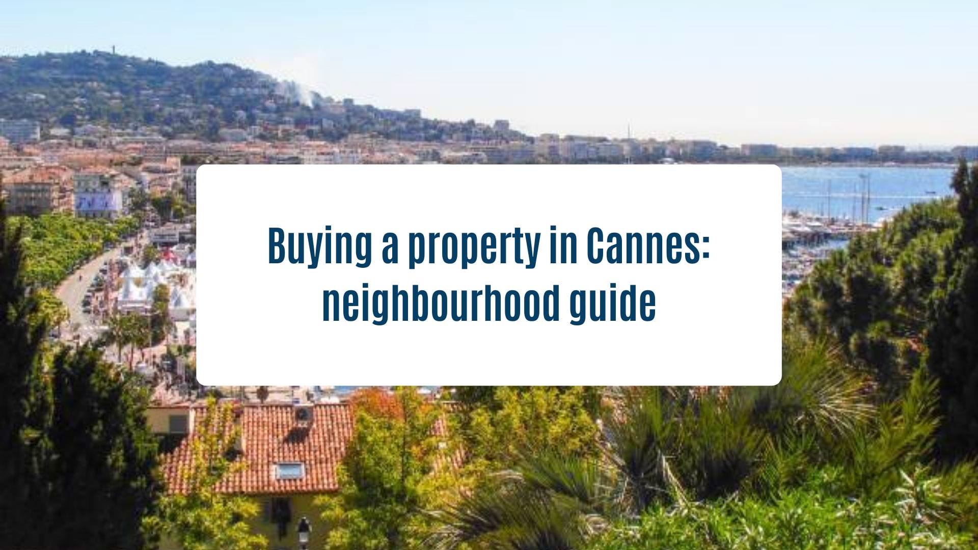 News Olam Properties - Buying a property in Cannes: neighbourhood guide