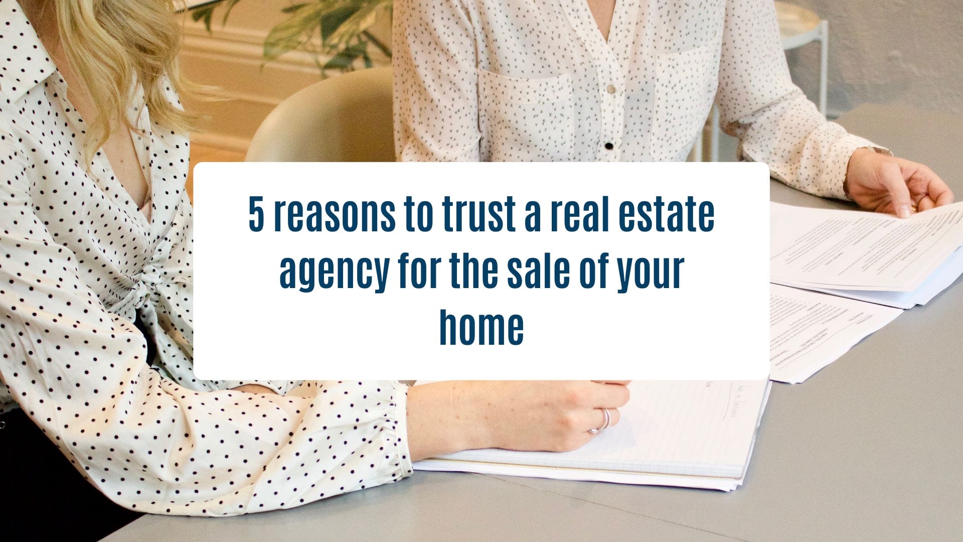 News Olam Properties - 5 reasons to trust a real estate agency for the sale of your home