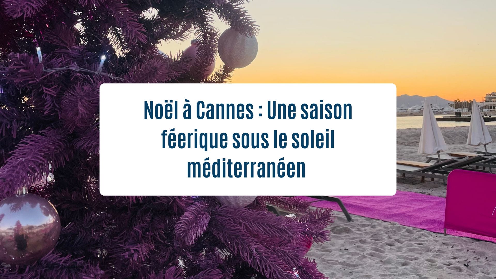 Actualités Olam Properties Cannes - Noël à Cannes : une saison féérique sous le soleil Méditerranéen