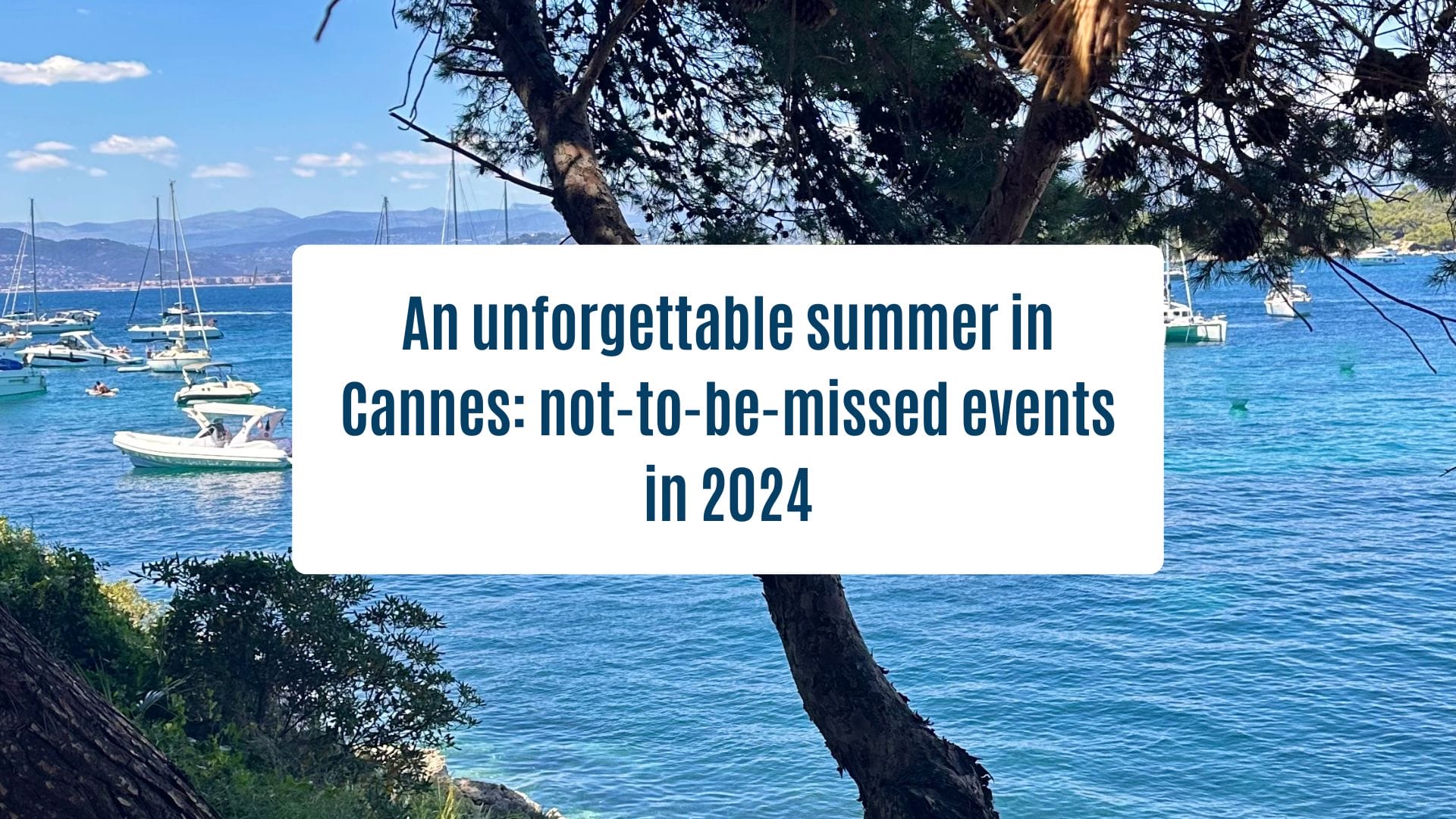 Actualités Olam Properties Cannes - An unforgettable Summer in Cannes : not-to-be-missed events in 2024