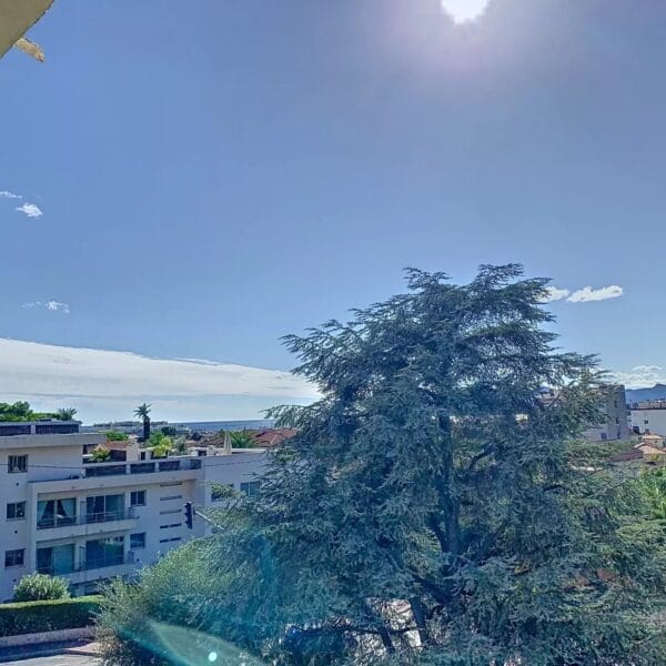 Appartement Cannes Californie: 2 Pièces lumineux , 58 M2, piscine