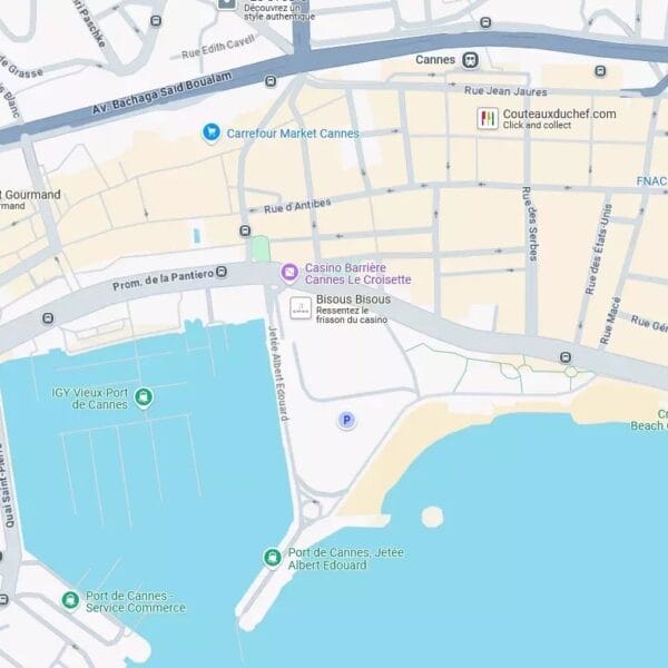 Cannes : charmant appartement, incroyable jardin situé dans le centre ville