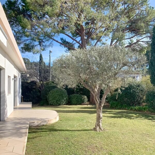 Villa Mougins: plain-pied moderne, style californien, 163 m2 piscine